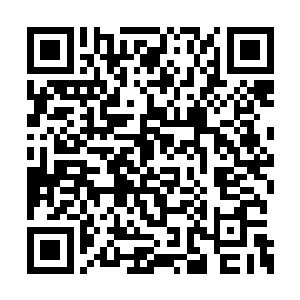 会秘密的集合所有出海参加猎海大战的战队令主二维码生成