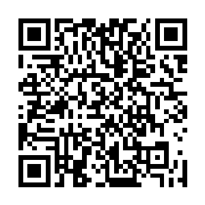 会给人一种比较舒服的感觉这一点绝对是得了老白的真传了二维码生成