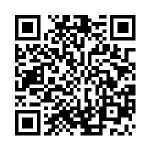 会被送到赛雷那里进行进一步的分析二维码生成