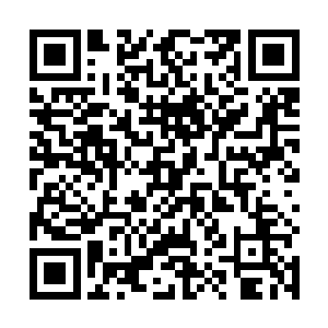 伞骨上的太尊阴影在剑心老祖的神级战技面前瞬间崩溃二维码生成