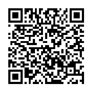 传言他山玉是一位圣者用自身的法则温润一座山脉二维码生成