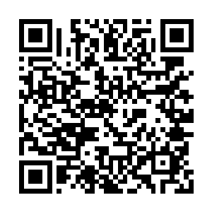 传言这一次黑霉宗王会拿出一件早年得到的至宝二维码生成