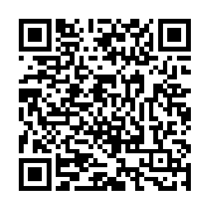 传言这洪荒异宝早已随着元鼎的陨落遗失在了碎星海二维码生成