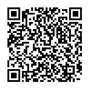 传说当年创世符神符天死前在符魔界留下一颗神奇的珠子在海洋中二维码生成