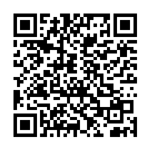 传闻东罗峰最鼎盛之时收集到的神通有一千八百七十六种二维码生成