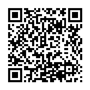 伯温甚至能从空气中捕捉到还未消散的一丝虔诚的信仰二维码生成
