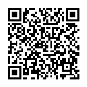 估摸着这些妖丹都是章鱼精杀了别的妖修弄来的二维码生成