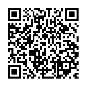 估计…这么多年来雷振霆始终无法取代西陵皇也跟苍茫山有关二维码生成