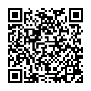 估计也只有秦方这种轻功高手才可以在这里落脚吧二维码生成