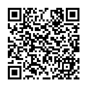 估计也是怕大家不信自己真的是门派的一份子似的二维码生成