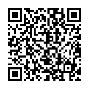 估计在龙战的眼里除了凌菲和他的家人其他人都是一样的人类二维码生成