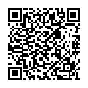 估计山组的安保卫队注意力都会被他吸引了过去二维码生成