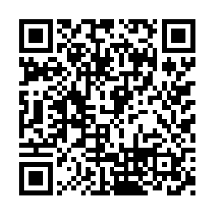 估计整个吴县的领导层要来一个彻底的大换血了二维码生成