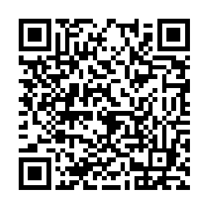 估计早就巴不得苗毅快点去龙穴完成她主人的托付二维码生成
