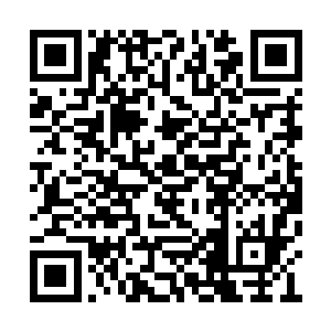 估计是在为那句愿天下有情人终成眷属伤春悲秋二维码生成