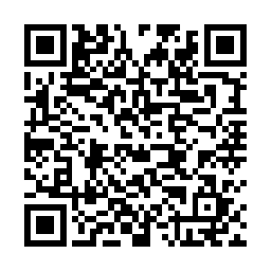 估计是在猜想那冷库里面什么东西将展队给吓成了这样二维码生成