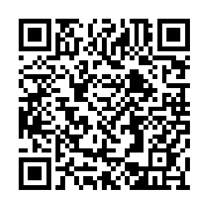 估计没有个下界十年八年力神决第一重休想大成二维码生成
