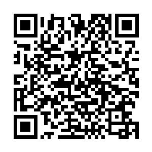 估计现在整个京都都在传威虎将军府的大小姐美人救英雄二维码生成