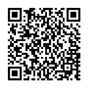估计谁都没想到我胆大包天到直接说北部执法大长老的地步二维码生成