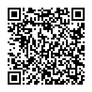 估计这些兴奋过头的曼城球迷会直接冲劲球场来扒球员们的裤子……二维码生成