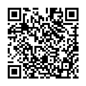 估计那些战狼也以为是什么天材地宝所以叼过来给你享用了二维码生成