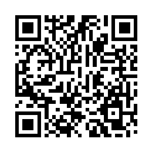 伴生原始兽就是从伴生原始卵中孵化而出的二维码生成