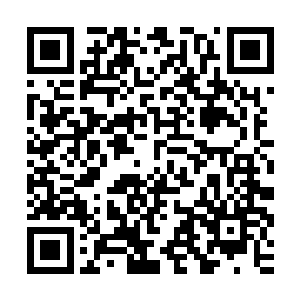 伴随着一尊恐怖的紫金色的巨塔也从龙傲天的眉心之中飞射而出二维码生成