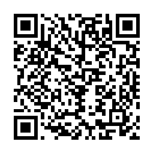 伴随着一股恐怖的狂暴的气息也从李悠然的身上散发出来二维码生成