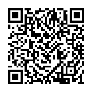 伴随着一股无比狂暴的气息也是从上面散发出来二维码生成