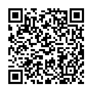 伴随着一股股恐怖的血色的烟雾直接朝着四面八方蔓延开来二维码生成