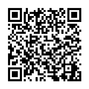 伴随着人群中央飘出来的音乐蹦跳着欢呼着呐喊着二维码生成