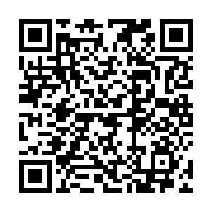 伴随着那两道黑光融入到曼陀罗华之盾和曼殊沙华之剑二维码生成
