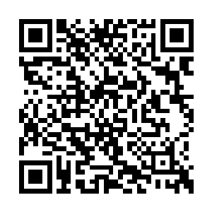 伴随着那幼蜂猛然绷直的身躯和那已经被抽碎了二维码生成