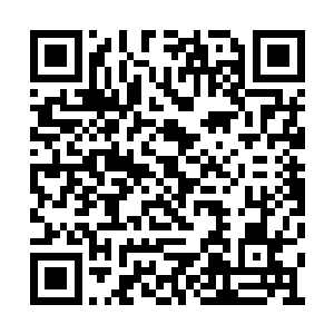 伸出纤纤玉手捏了捏包子小丫鬟的婴儿肥的脸蛋二维码生成