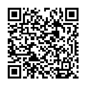 伸手一一从沈子良还有他两位手下的手中取过手枪二维码生成
