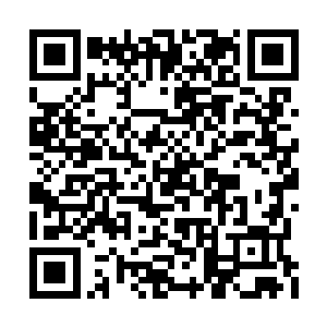 伸手再次从篮子里提出一头黑狗放在了相同位置二维码生成