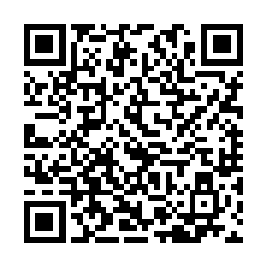 似乎不是他们这些蟑螂和老鼠可以参合进去捣鬼的二维码生成