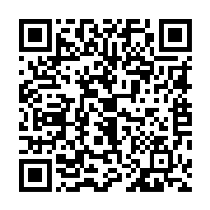 似乎也不敢相信这胖子的可能找到一个这么漂亮的女朋友二维码生成
