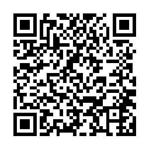 似乎也是拥有着冲击亚洲赌王称号的高手……在赌局开始之前二维码生成