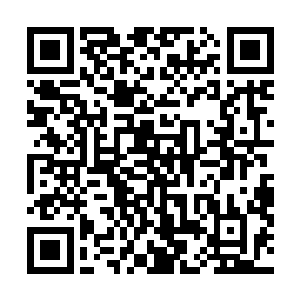 似乎也是觉得自己就这么莫名其妙从大阵中走出来了似的二维码生成