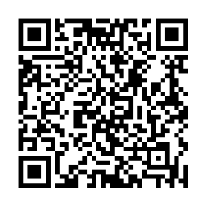 似乎也看出了秦宇是不是主动询问他到底是来干嘛的二维码生成