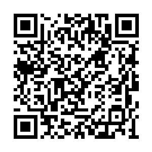 似乎前方有什么无法突破的屏障阻挡了它的步伐二维码生成