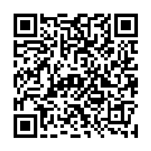 似乎只是触碰到这个人就让他空落落的心被填实了不少二维码生成