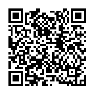 似乎周围有任何的风吹草动都瞒不过她的双眼一般二维码生成