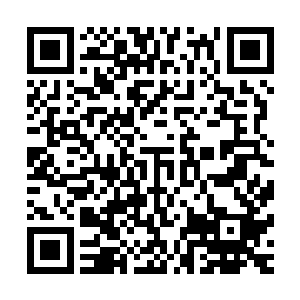 似乎因为没有一口吞掉那只散发着诱人香味的烤羊而感到愤怒二维码生成