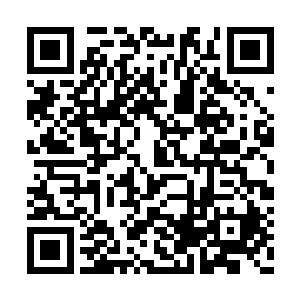 似乎在对莘莘的学子们述说着自己对他们的期盼二维码生成