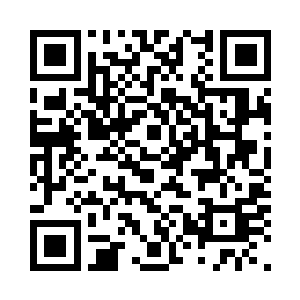 似乎在缅怀变化成这两套铠甲的前辈二维码生成