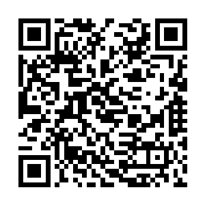 似乎天地间所有的光明都凝聚到了这一刀道剑气上二维码生成
