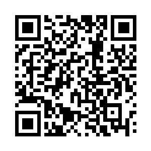 似乎对人类吃的这一类食物都是不感兴趣的二维码生成