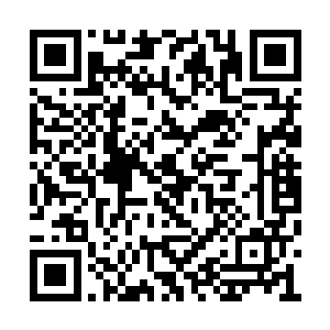 似乎对几大剑派纠结于剑法排名的举止呲之以鼻二维码生成